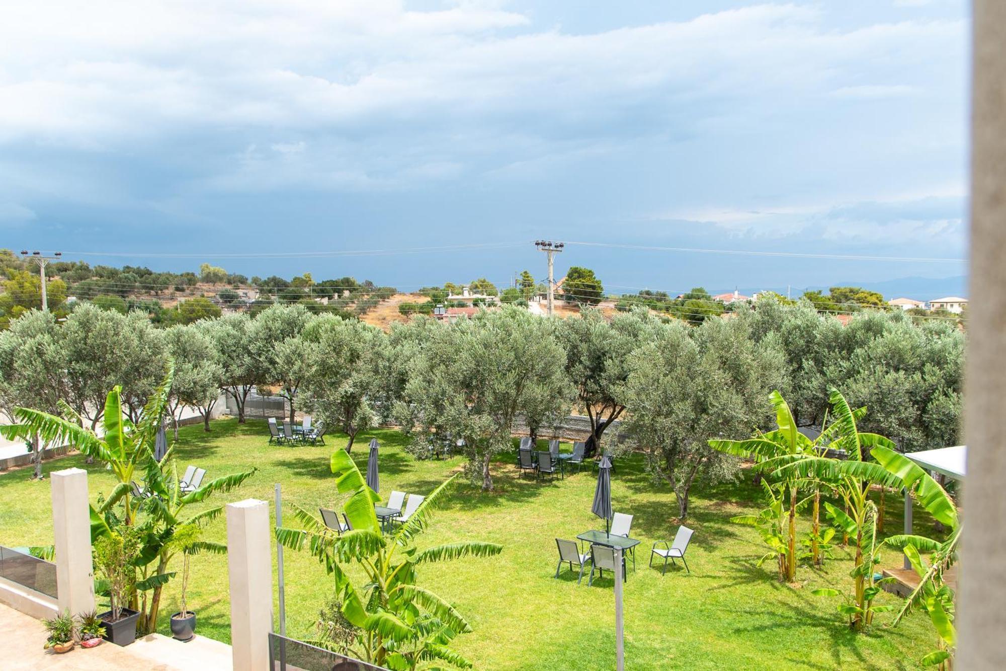 Airscape Hotel Free Shuttle From Athen'S Airport Artemida  Exterior photo